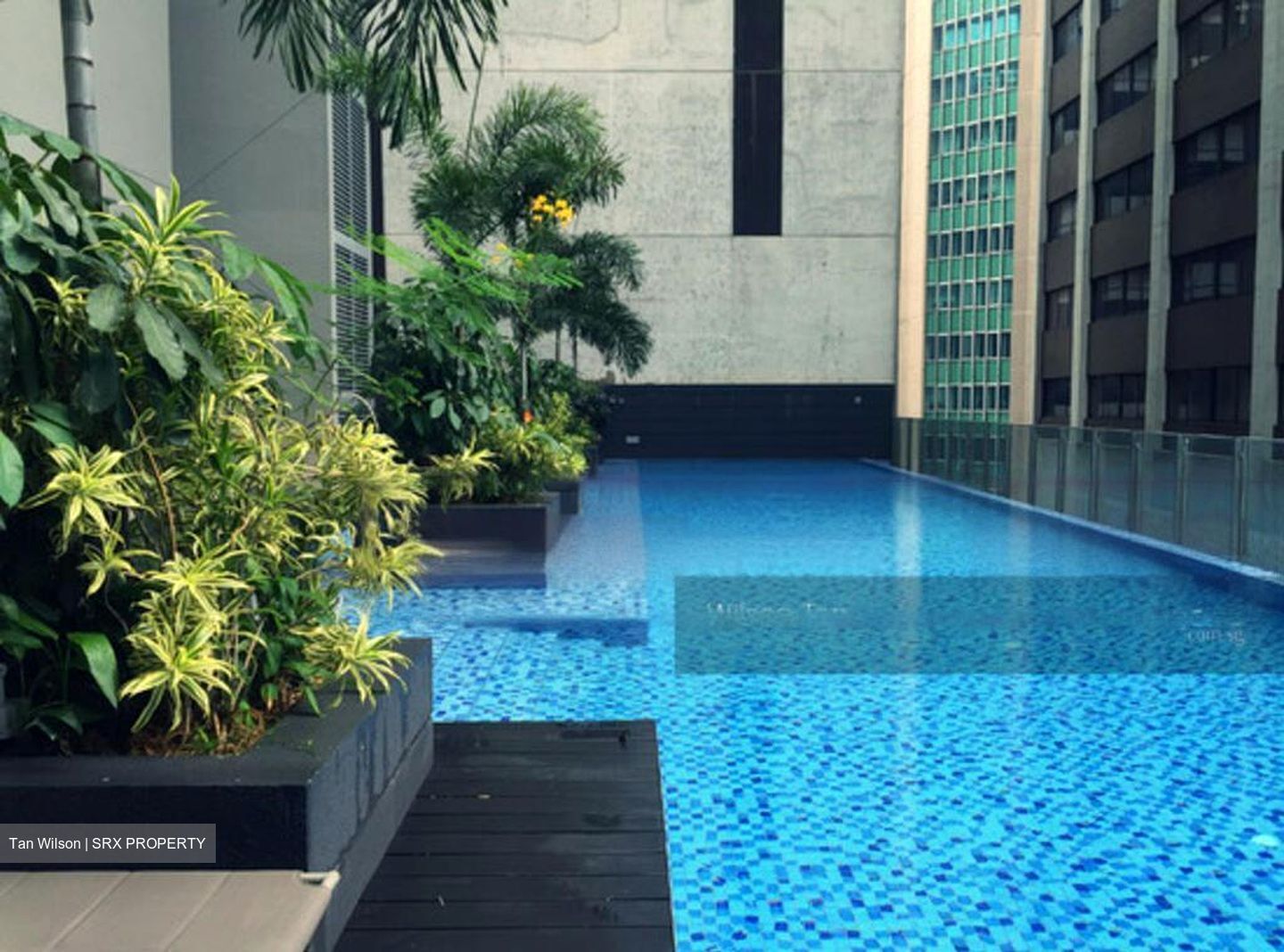 Robinson Suites (D1), Apartment #456020951